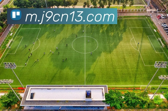 九游会j9· 中国 真人游戏第一品牌APP 封面图